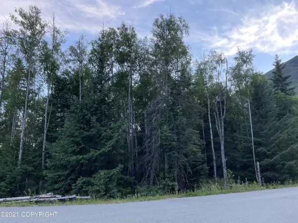 Indian, AK 99540,L33 Ledyard CIR