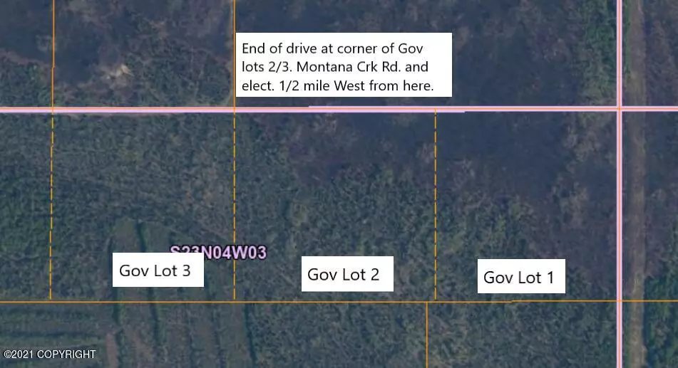 Gov L2 S Leroy Davies RD, Talkeetna, AK 99676