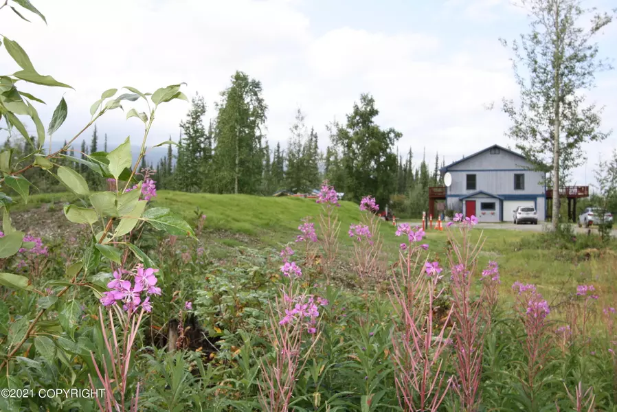 6 Acre Portion of 1327.6 Alaska Hwy, Tok, AK 99780