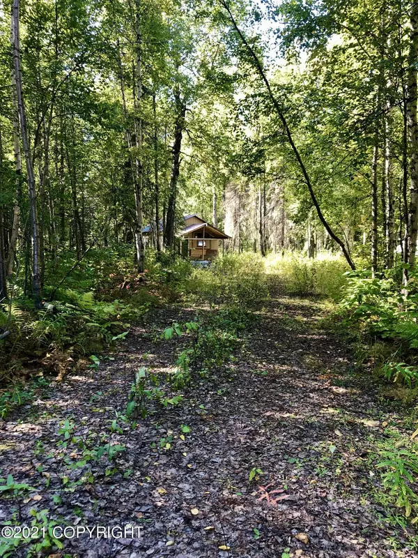 25430 Oilwell RD, Trapper Creek, AK 99683