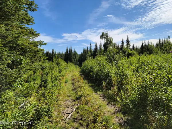 Anchor Point, AK 99556,Lot 4 Hannah Rene Rd