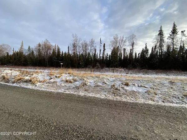 Remote, AK 99611,L187C Purple Iris WAY