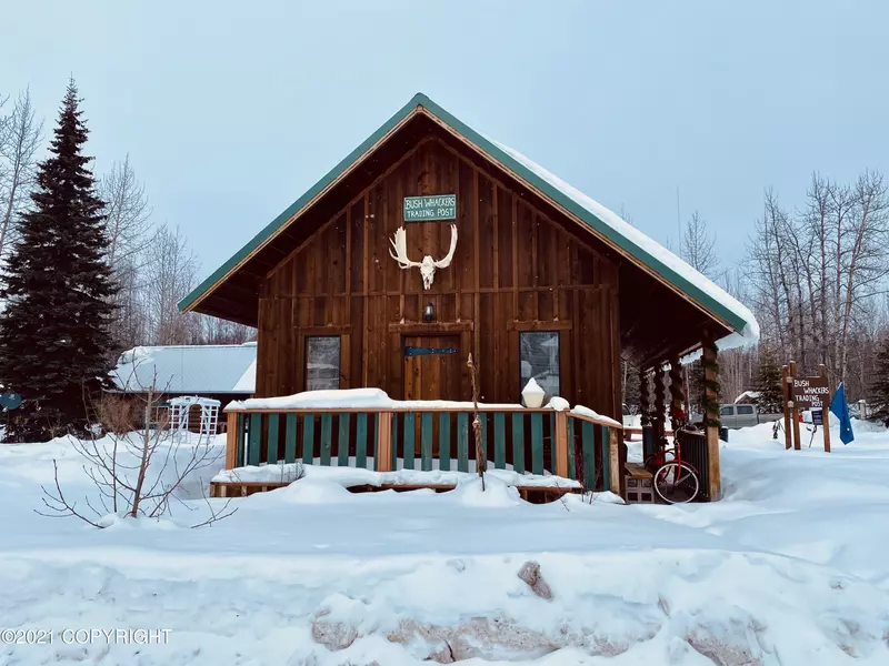 22152 S D ST, Talkeetna, AK 99676