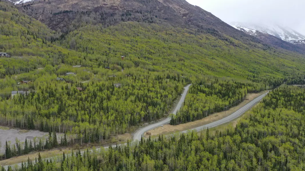 L9 Overlook EST, Eagle River, AK 99577