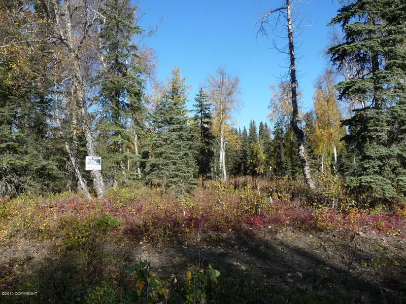 L7 B7 Newberry, Nikiski/north Kenai, AK 99635