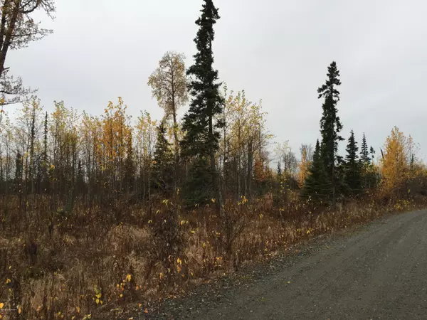 Ninilchik, AK 99639,63885 Tailwind RD