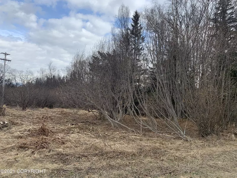 L3 B2 Shellfish AVE, Homer, AK 99603