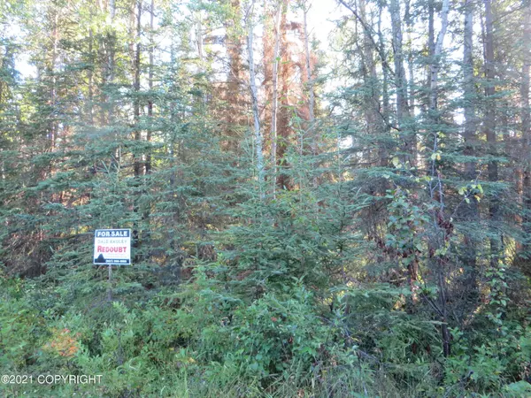 Soldotna, AK 99669,432 Heath ST