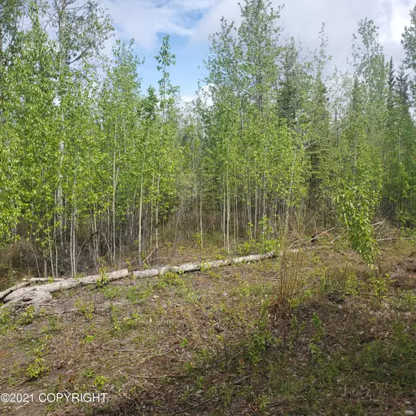 L 121 Willow LOOP, Copper Center, AK 99573