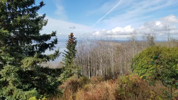 Anchorage, AK 99516,L3 Villages Scenic Pkwy