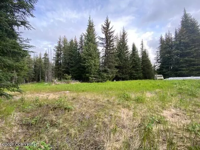 5745 Felix CIR, Homer, AK 99603