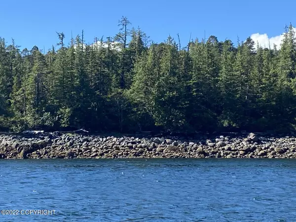 Ketchikan, AK 99901,Lot 18 East Channel Pennock Island