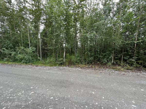 Wasilla, AK 99654,1595 N Pioneer Peak DR