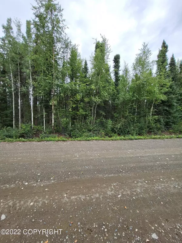 Willow, AK 99688,13877 E Beaver DR