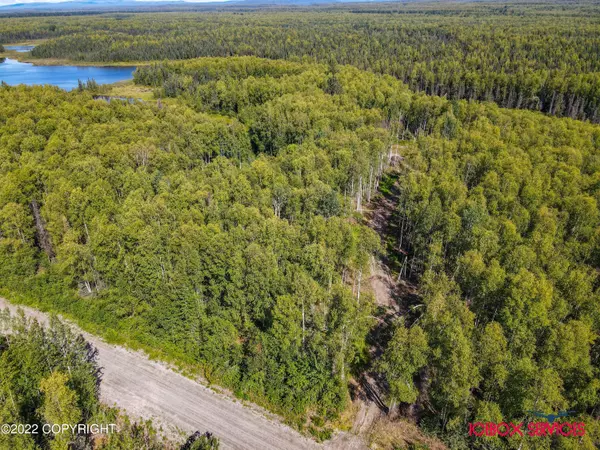 Willow, AK 99688,19022 E Secluded Lake LOOP