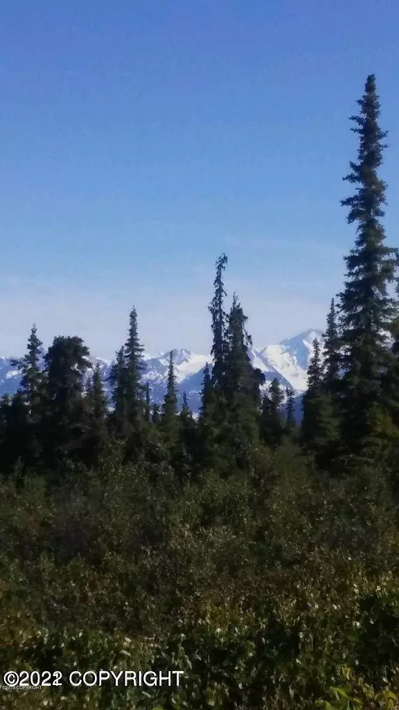 Remote, AK 99674,Tr 14 S Timber Wolf RD