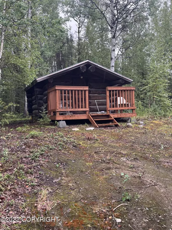 Talkeetna, AK 99676,16914 Michele DR