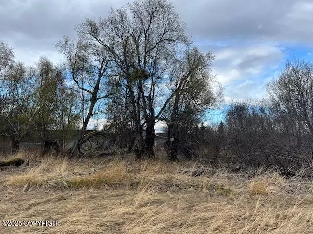 780 W Montana CIR, Palmer, AK 99645