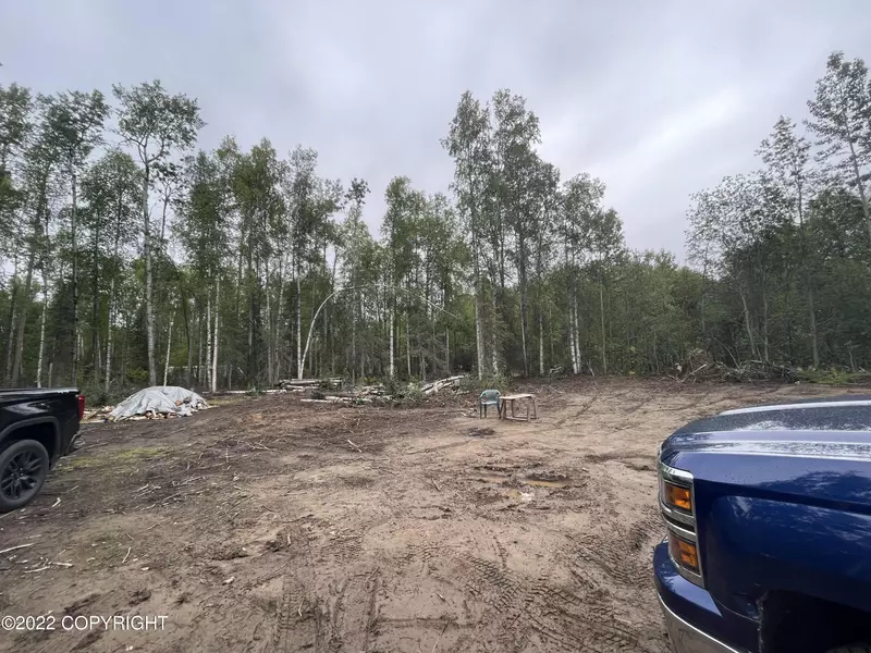 47464 S Buckwoods Spur RD, Willow, AK 99688