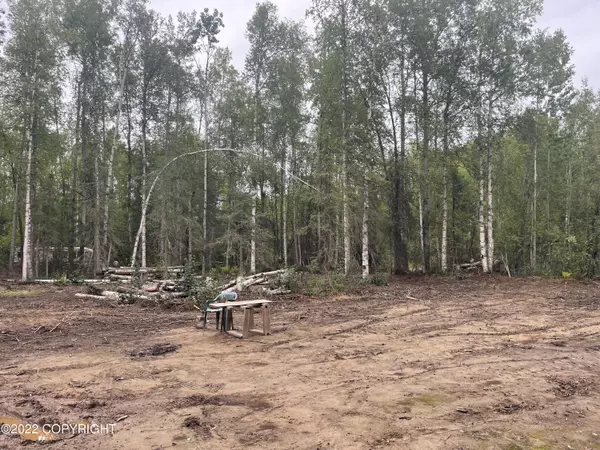 47464 S Buckwoods Spur RD Willow, AK 99688