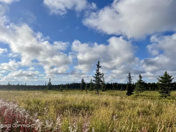 Anchor Point, AK 99556,Tract 28 North Fork Acres