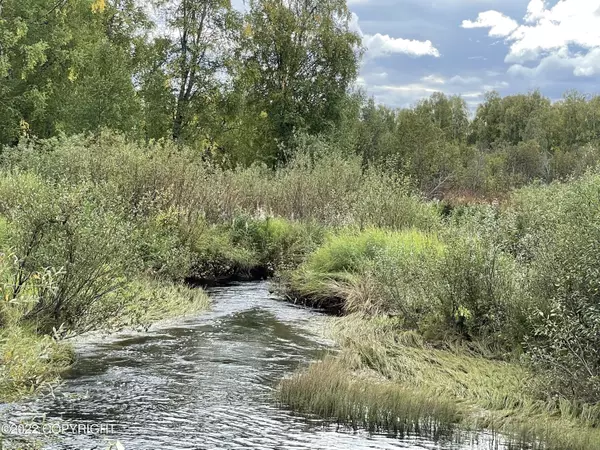 Trapper Creek, AK 99683,9738 Susitna River RD