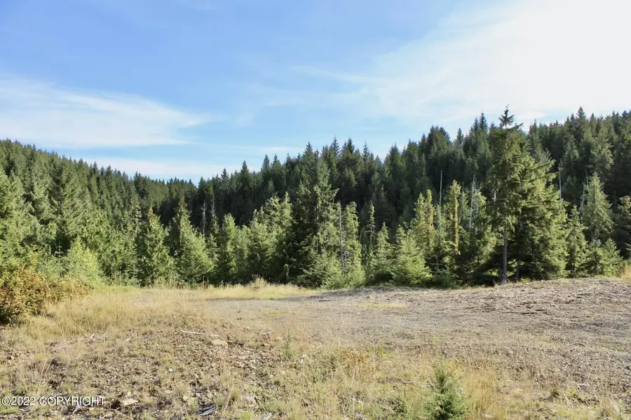 L43B4 Thorne Bay RD, Thorne Bay, AK 99919