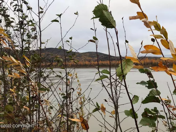 Nenana, AK 99760,L3-4 K ST