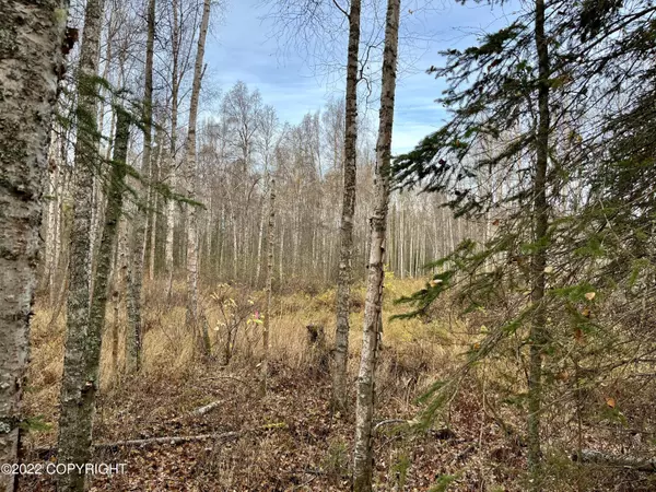 Chugiak, AK 99567,L70 Birch Creek DR