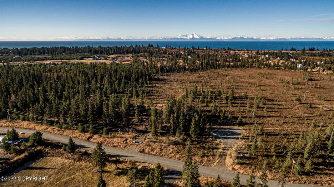 31757 Opportunity LN, Anchor Point, AK 99556