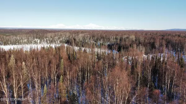 Talkeetna, AK 99676,48678 S Parks HWY