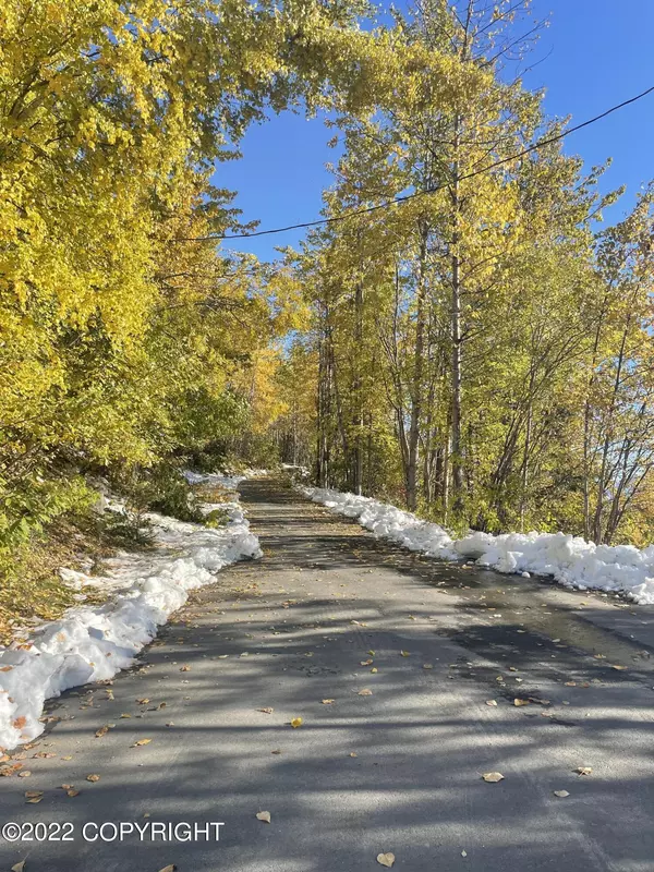 Eagle River, AK 99577,L3 B7 Upper Canyon DR