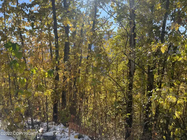 Eagle River, AK 99577,L3 B7 Upper Canyon DR