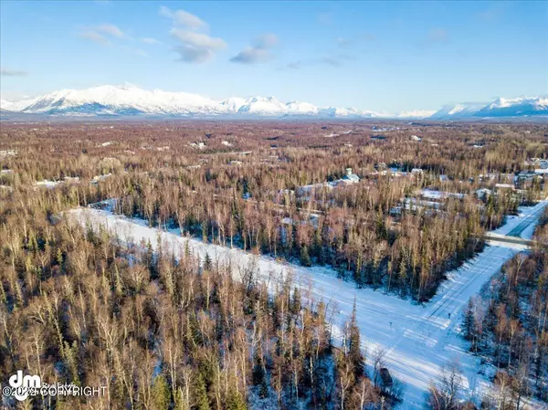 L9 B1 N Mara Lee CIR, Wasilla, AK 99654