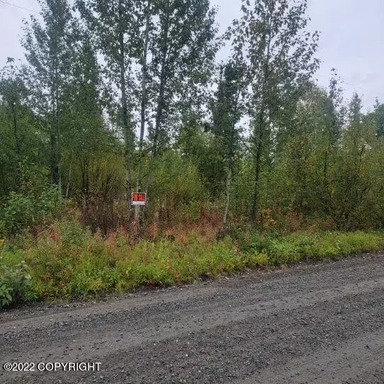 19530 Montana Creek RD, Talkeetna, AK 99676