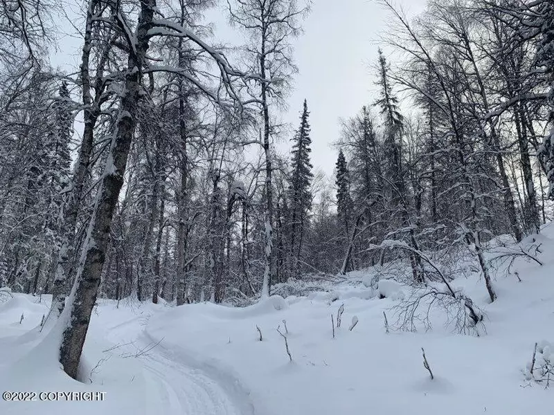 No Road Front Lake, Talkeetna, AK 99676