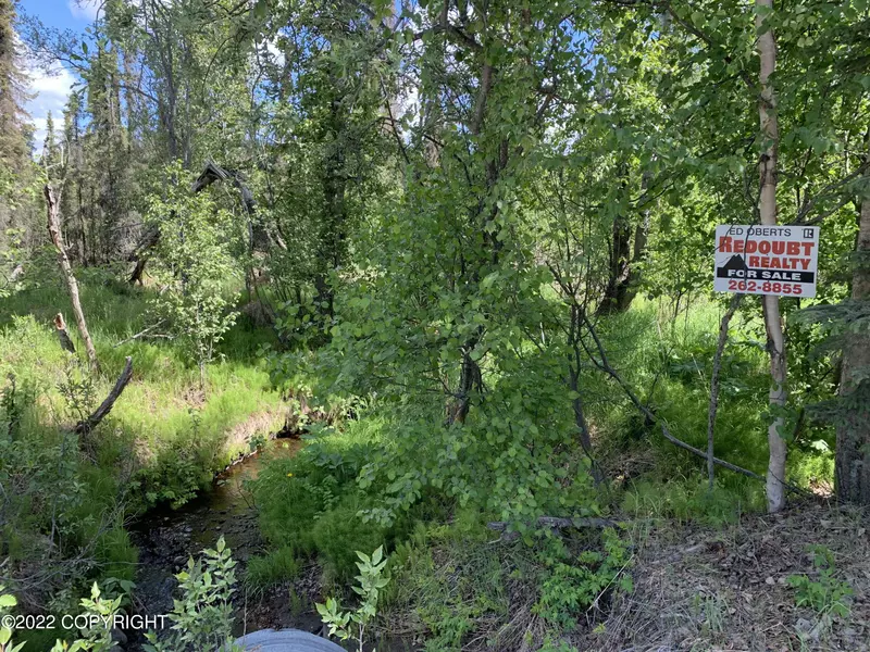 Tract A Silver Salmon DR, Kenai, AK 99611