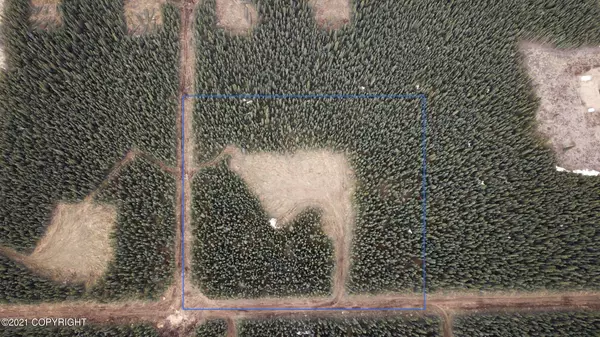 Tok, AK 99780,Lot 5 Boreal Forest Subdivision