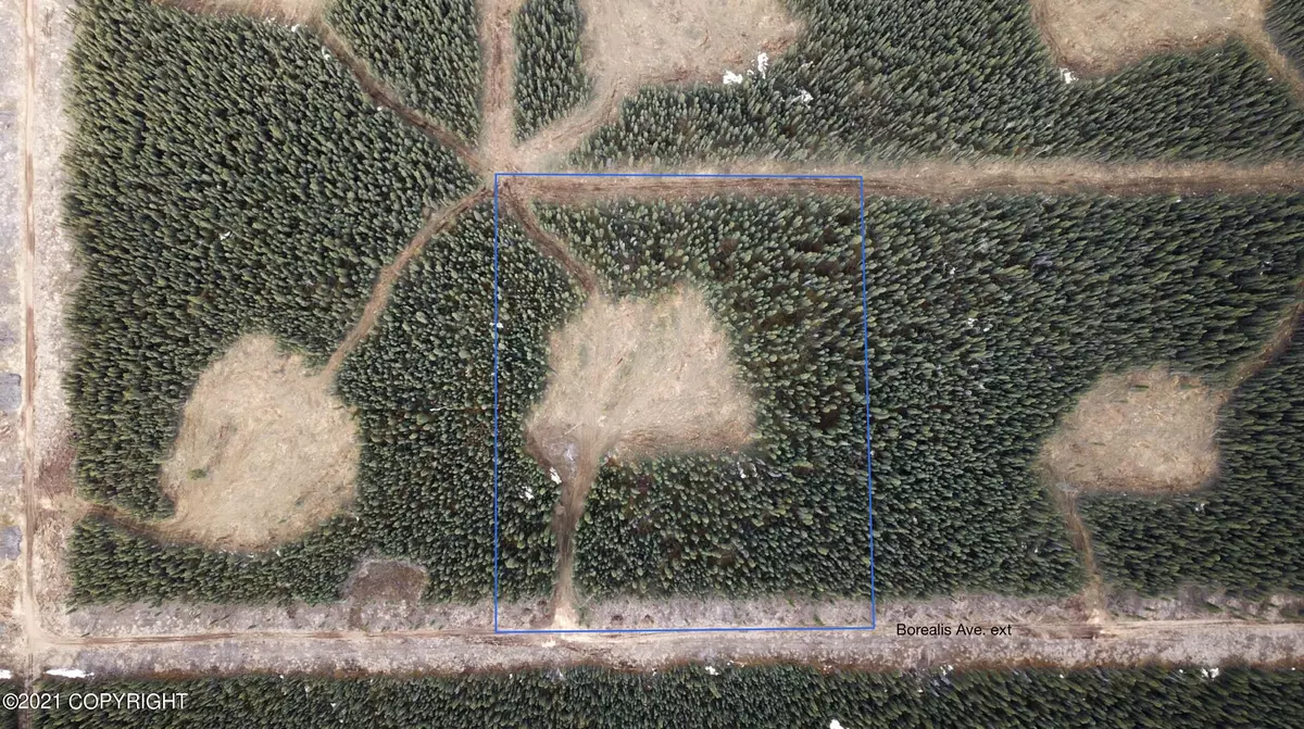 Tok, AK 99780,Lot 13 Boreal Forest Subdivision