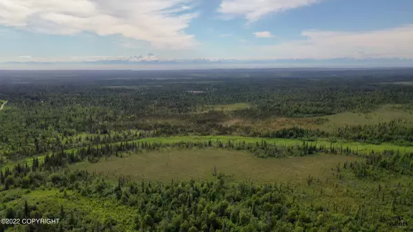 C2832 Alaskan Wildwood Ranch(r), Nikolaevsk, AK 99556