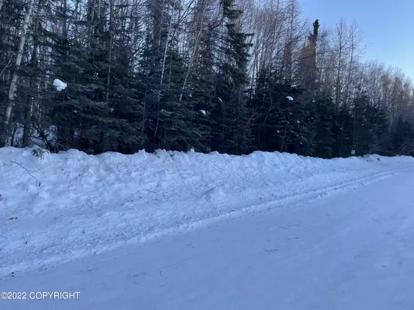 Nikiski/north Kenai, AK 99611,50964 Diomede DR