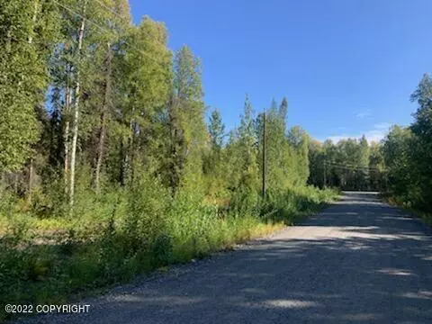 49651 S Denali View DR, Talkeetna, AK 99676