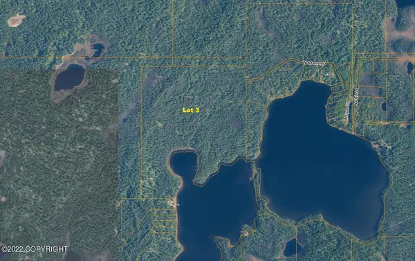 Lt 3 Delyndia Lake (No Road), Willow, AK 99688