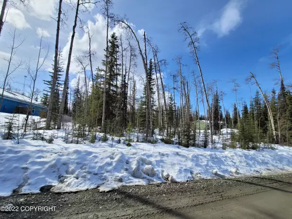 Soldotna, AK 99669,42177 Salamatof DR