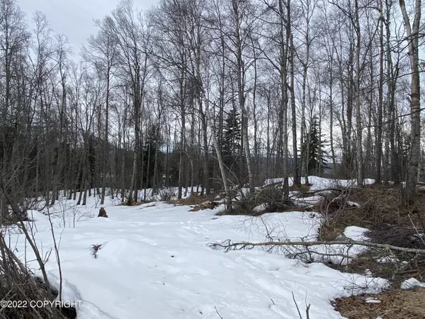 Chugiak, AK 99567,L8 B1 Sierra Mesa CIR