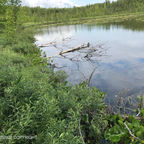 6914 W Scatters WAY, Wasilla, AK 99623