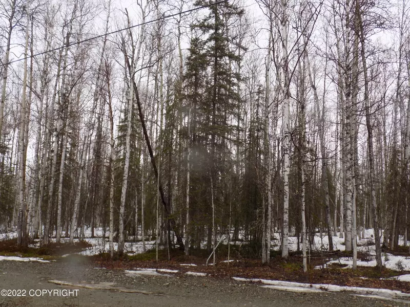 24986 Long Lake RD, Willow, AK 99688