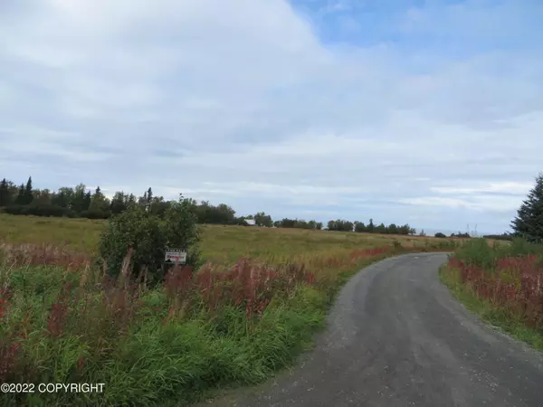 Clam Gulch, AK 99568,TR D-2 Corea Bend RD