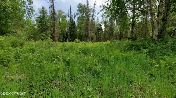 Wasilla, AK 99623,6437 Solitude ST