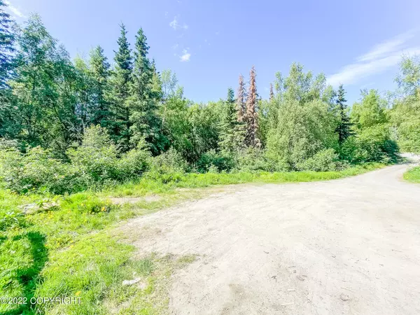 Anchorage, AK 99516,6500 Rockridge DR